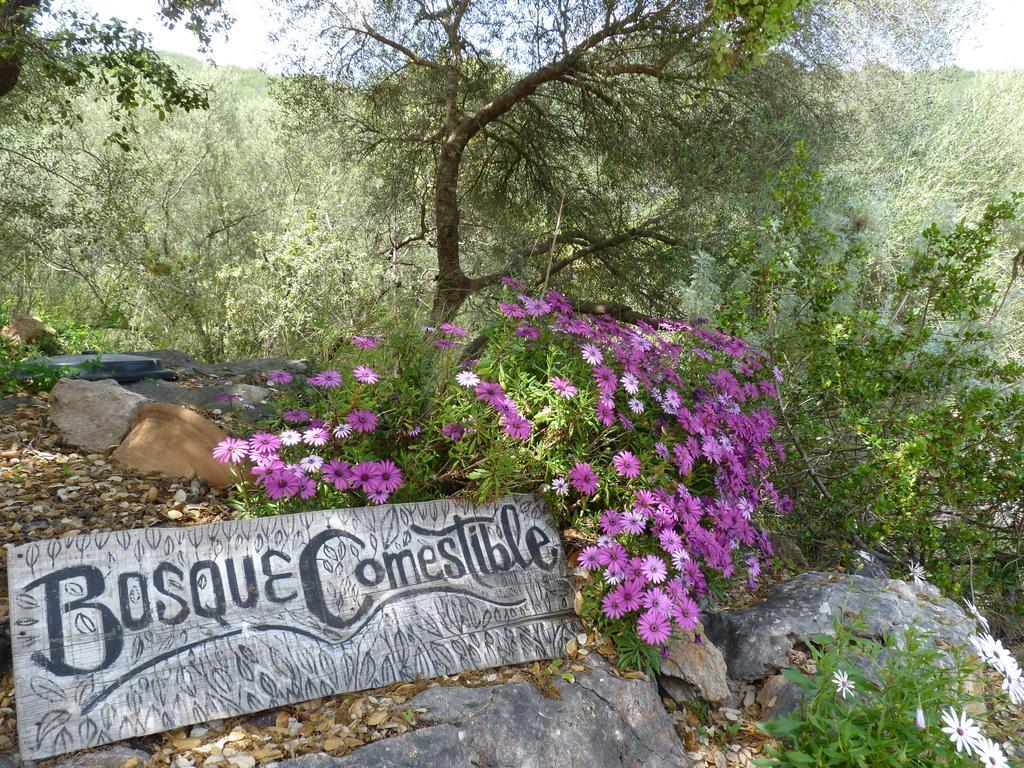 Agroturismo Can Torna Ag178 Esporles Exteriör bild
