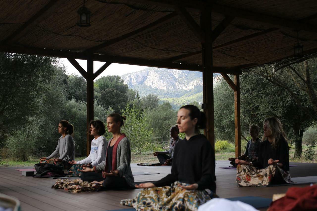 Agroturismo Can Torna Ag178 Esporles Exteriör bild